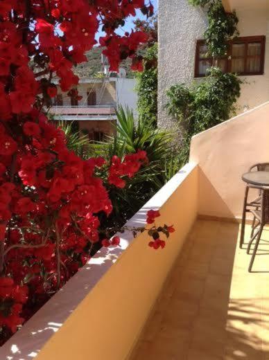 Pension Aretoussa - Photo 36
