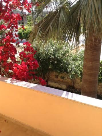 Pension Aretoussa - Photo 37