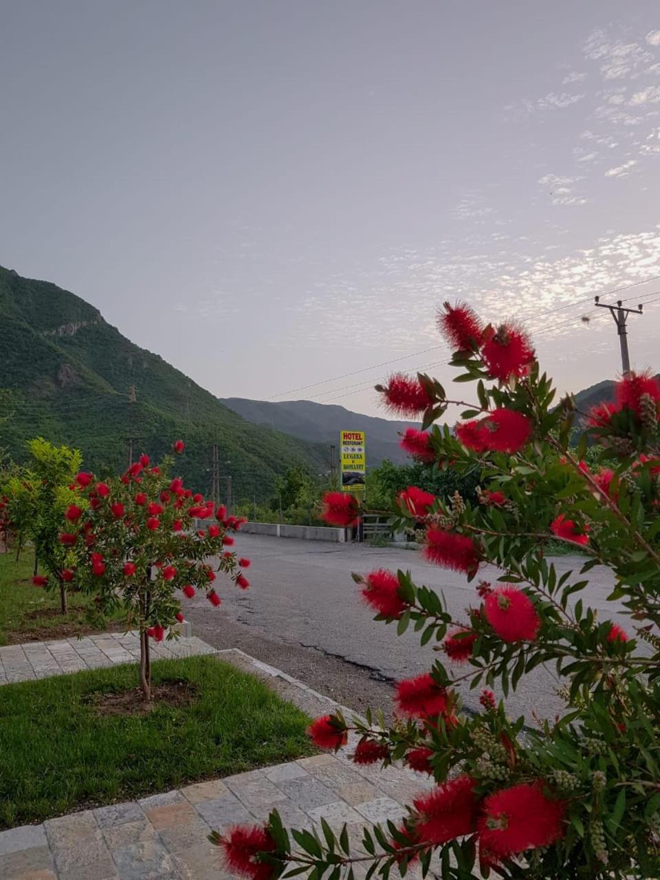 Lugina e Komanit - Photo 17