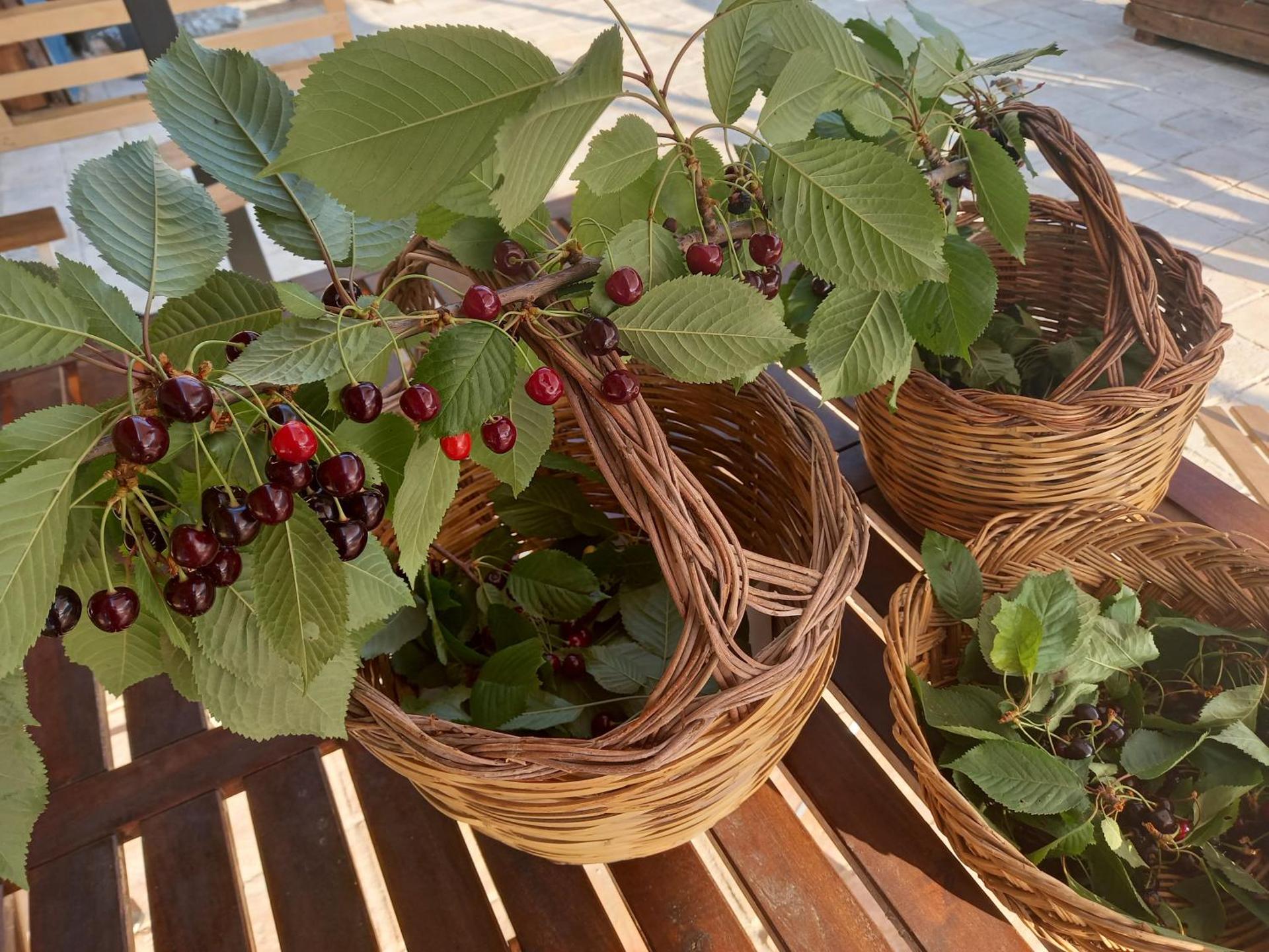 La casa dalle finestre blu - Photo 112