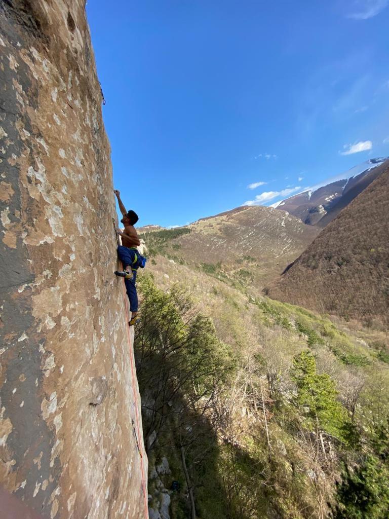 La casa dalle finestre blu - Photo 109