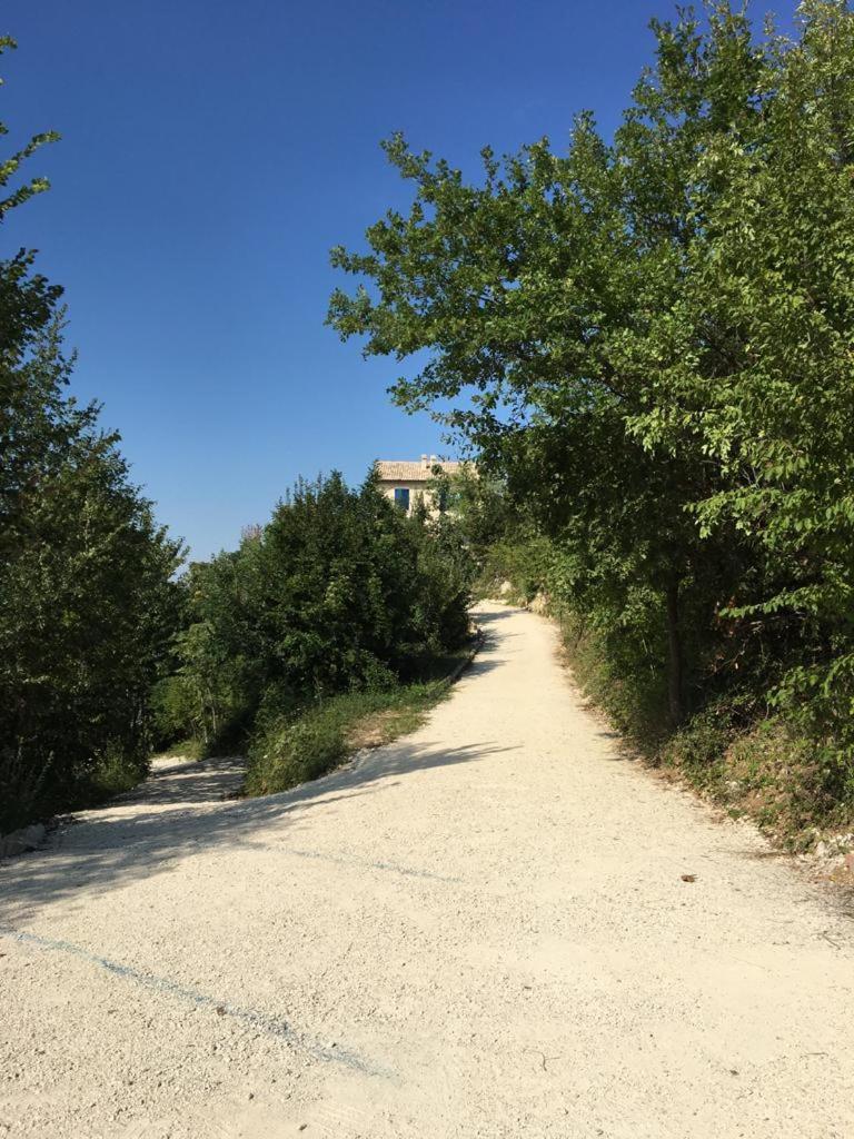 La casa dalle finestre blu - Photo 111