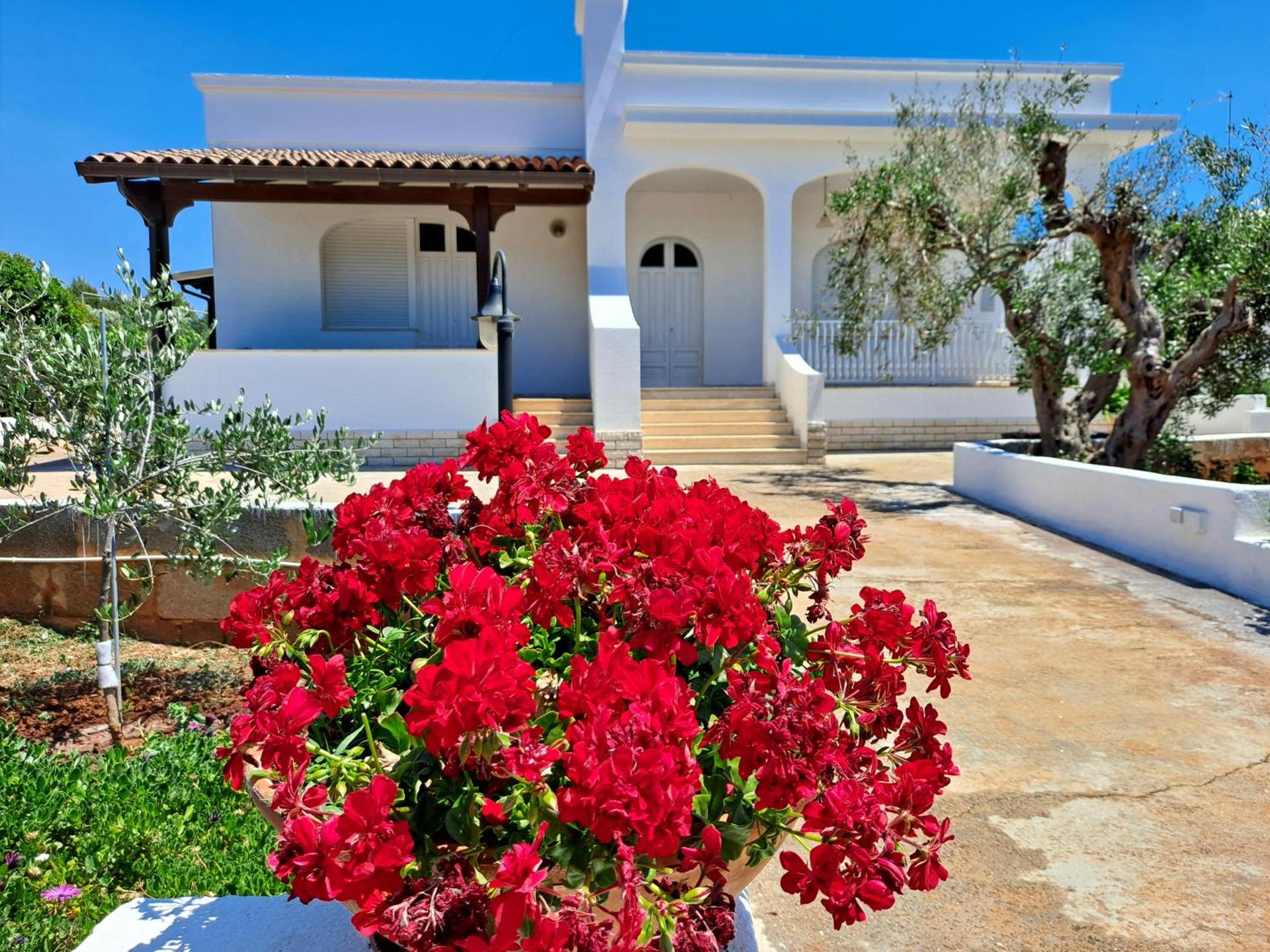 Villa Mele - Photo 21