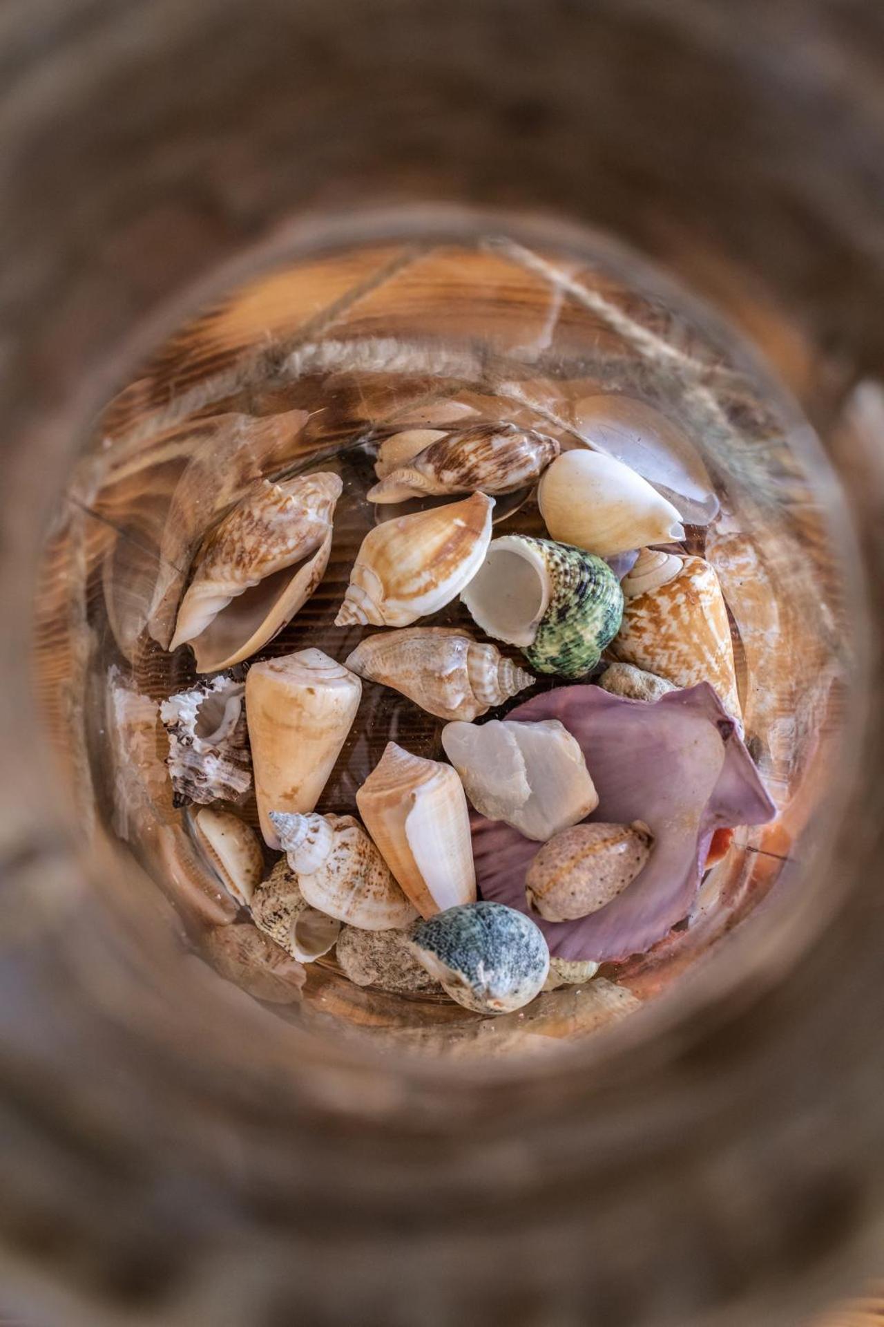 Ftelia View - Photo 125