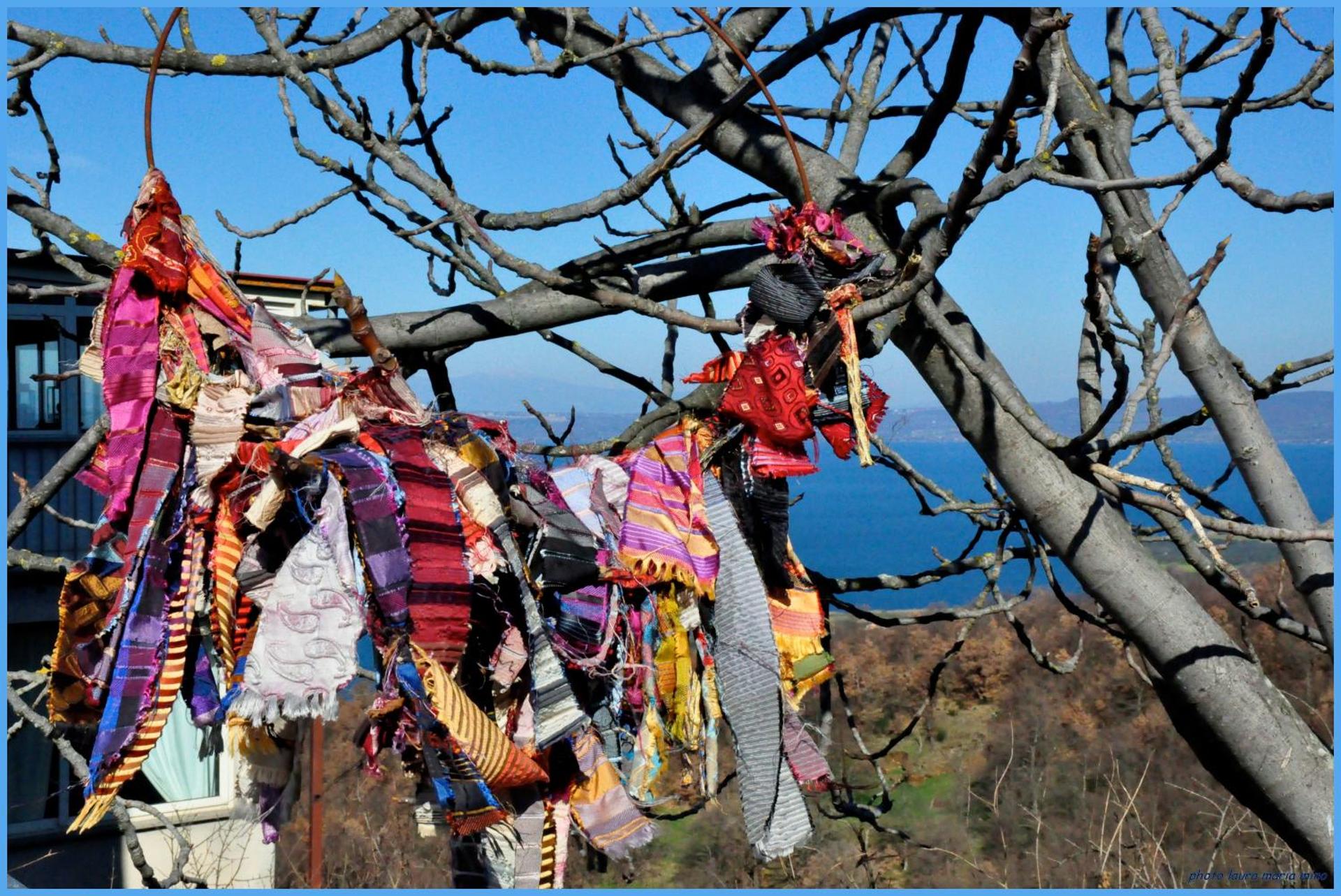 Il Caminetto Montefiascone - Photo 21