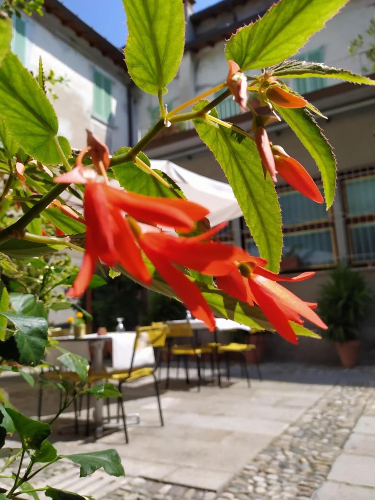 Hotel Tre Re - Photo 18