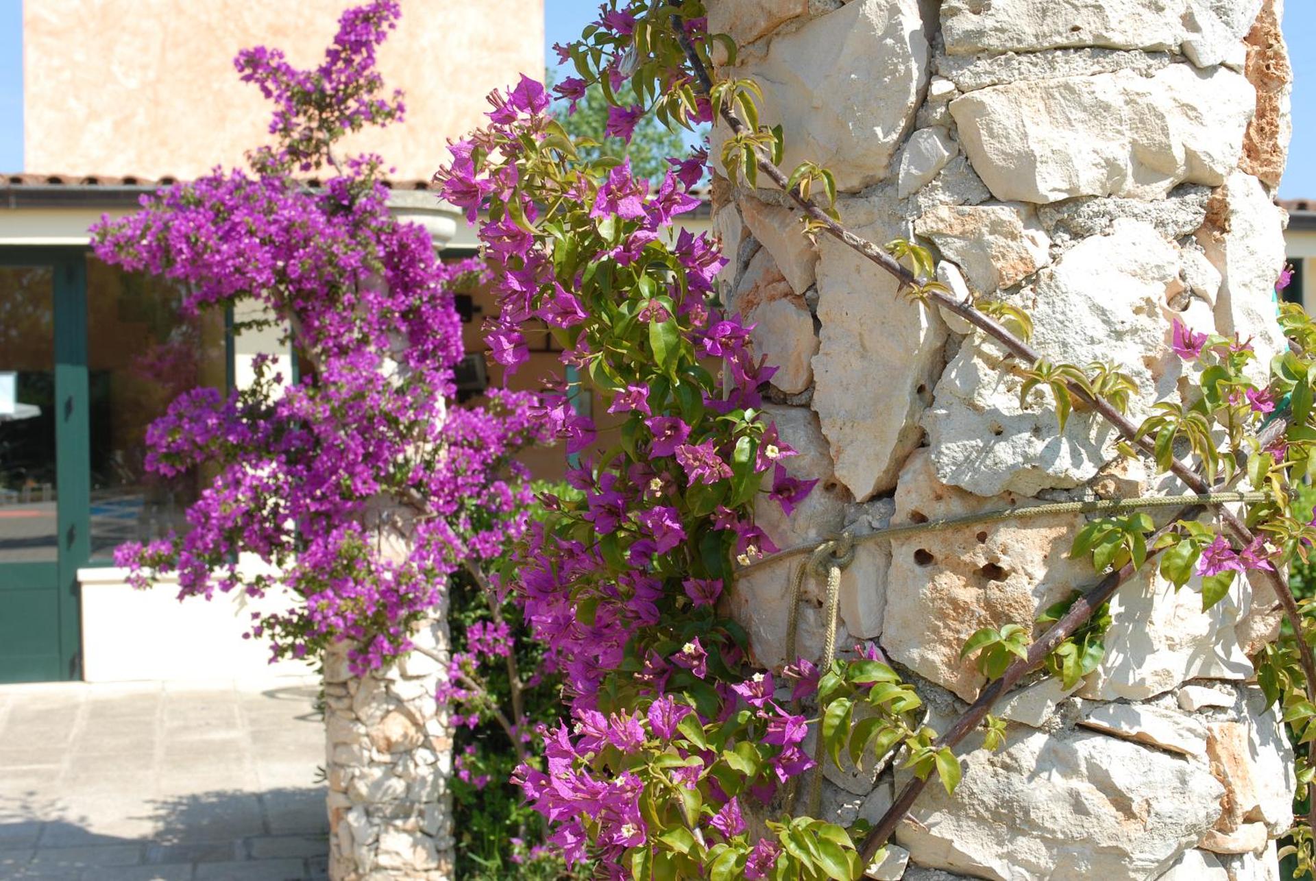 Masseria Tenuta Specolizzi - Photo 115