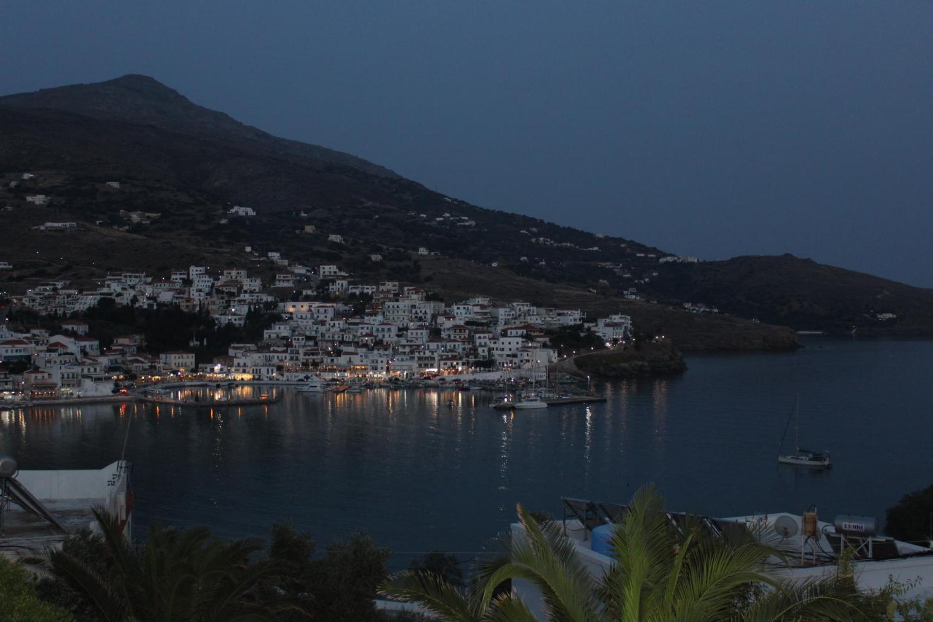 Blue Dolphin - Photo 267