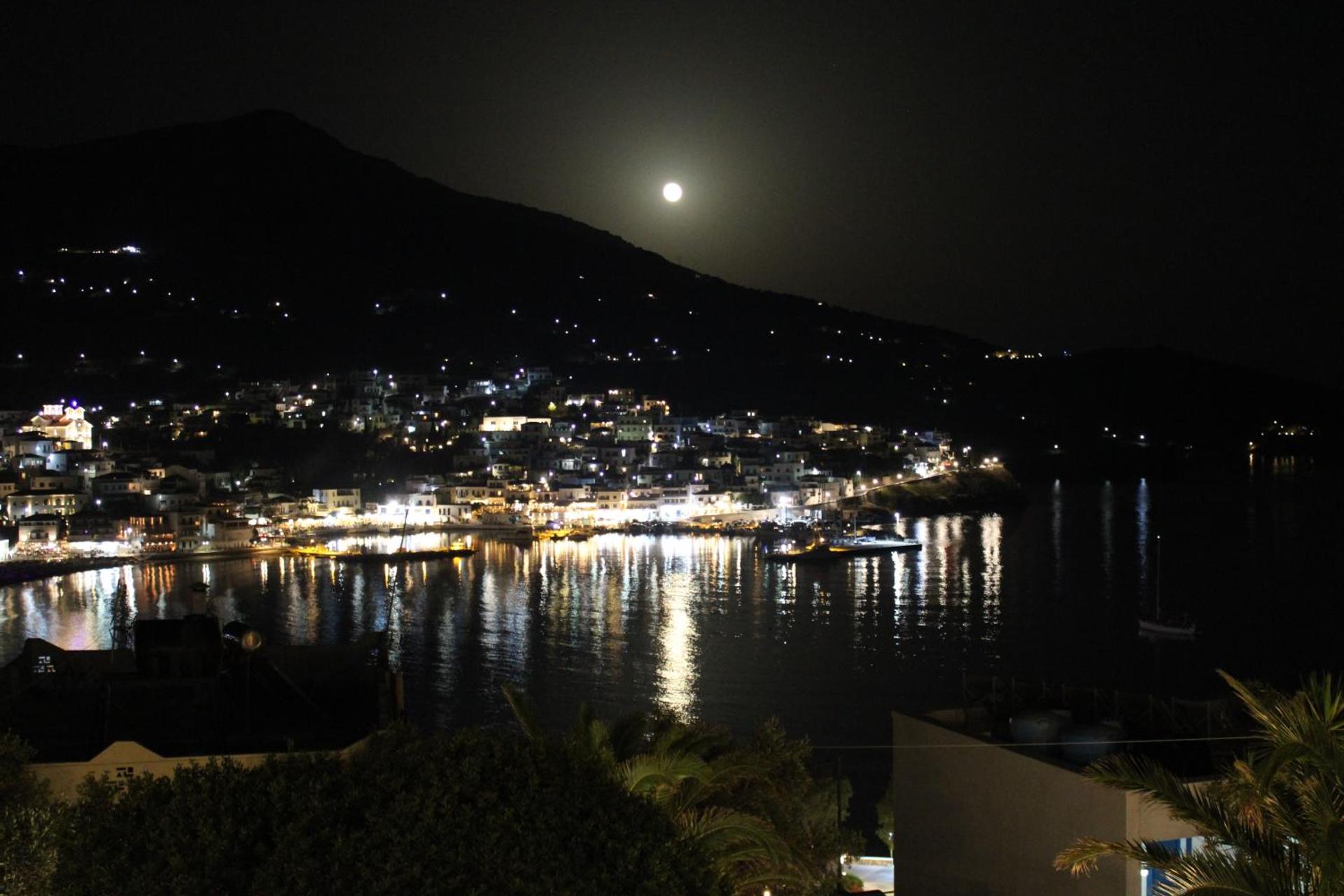 Blue Dolphin - Photo 269