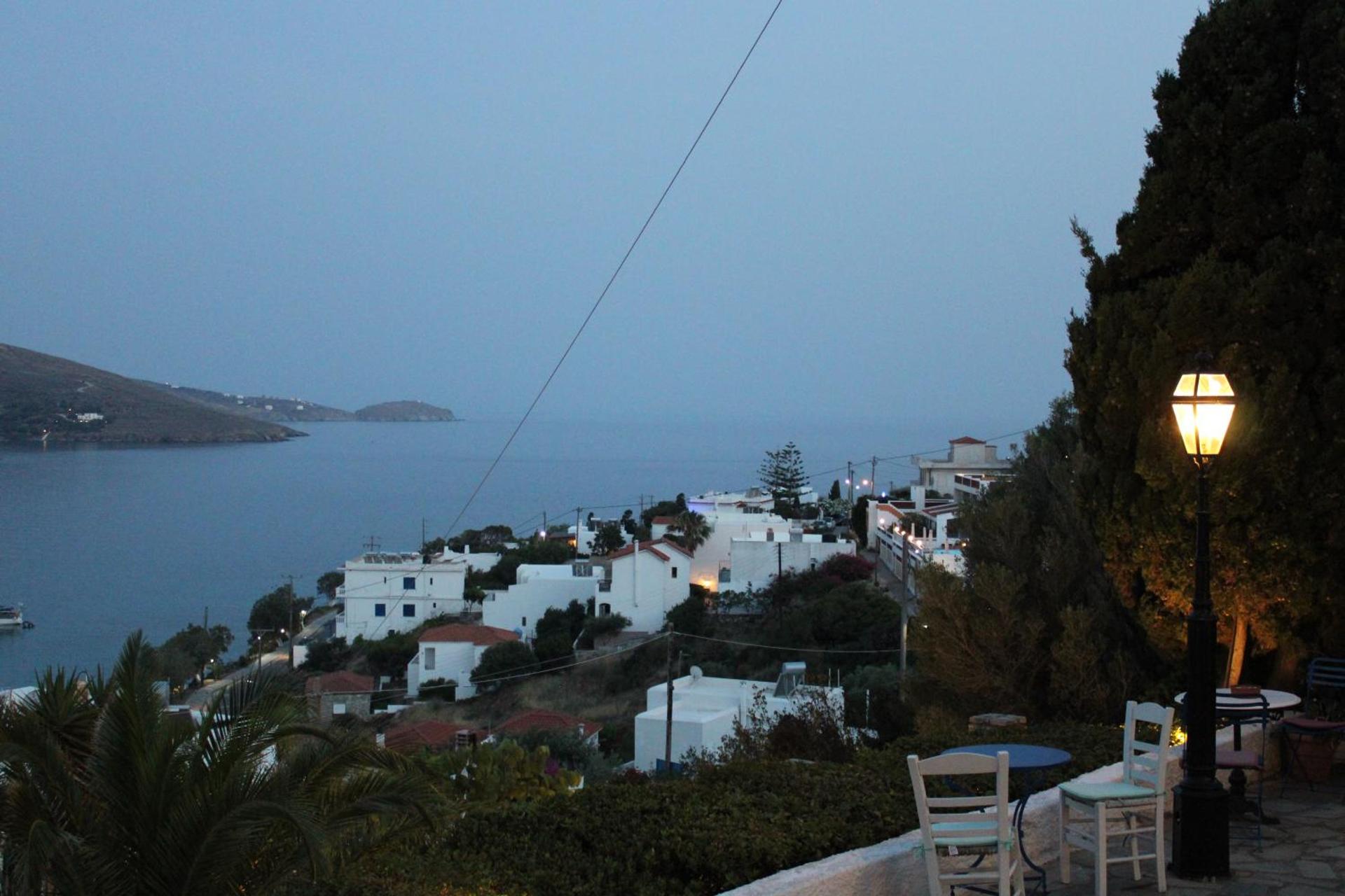 Blue Dolphin - Photo 268