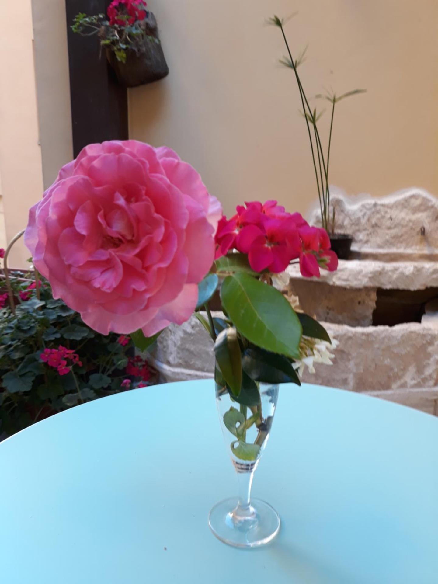 Hotel Minerva - Photo 213