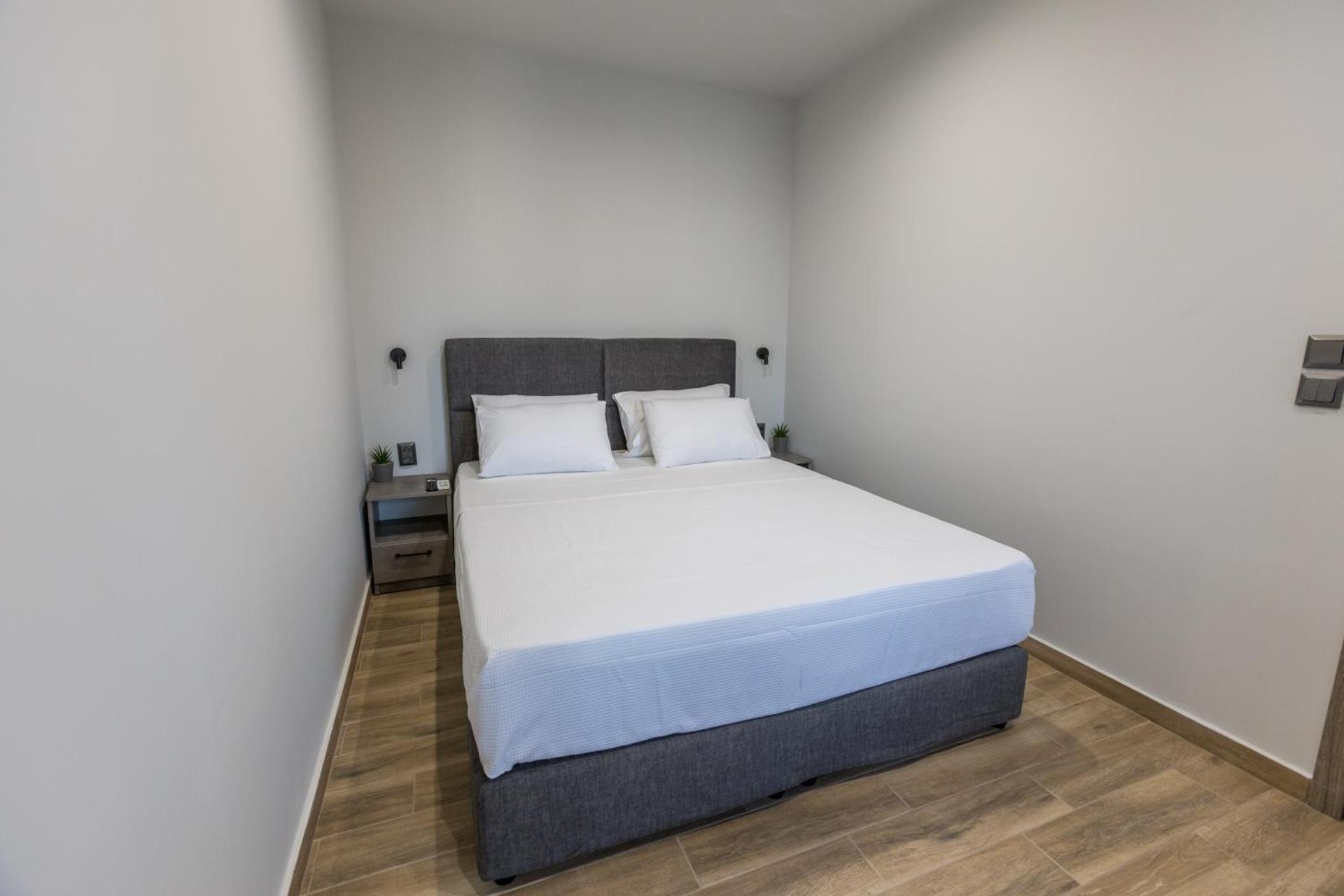 Athens Raise Acropolis Project - Photo 17