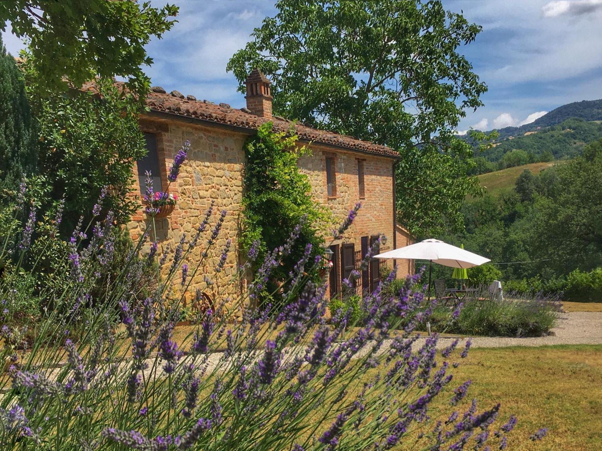 Il Nascondiglio - The Hideaway - Photo 38