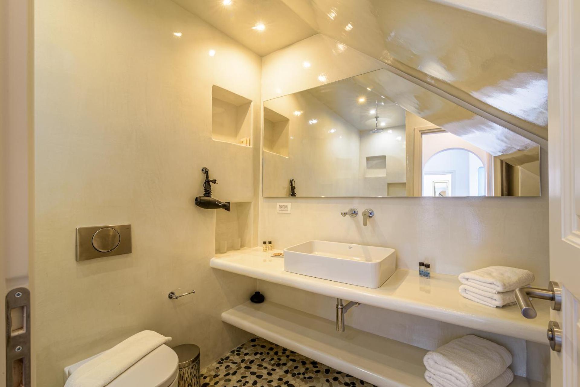 Golden Grey Goose - Photo 23