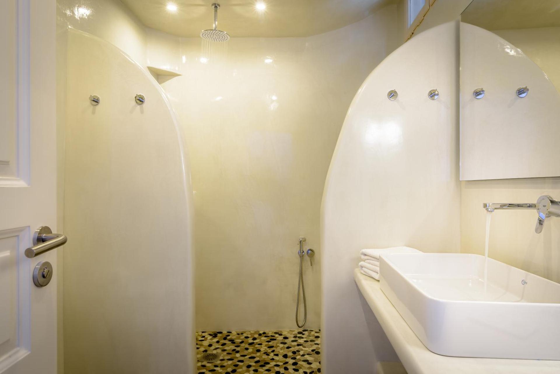 Golden Grey Goose - Photo 37