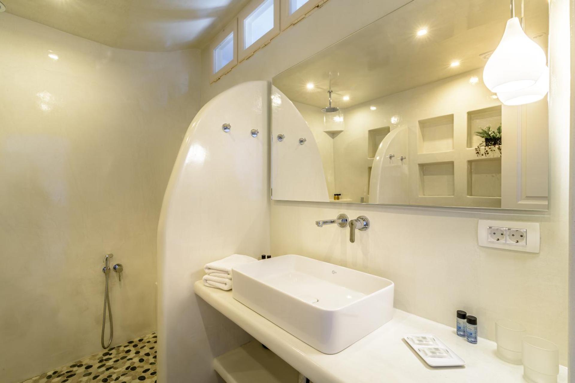 Golden Grey Goose - Photo 35