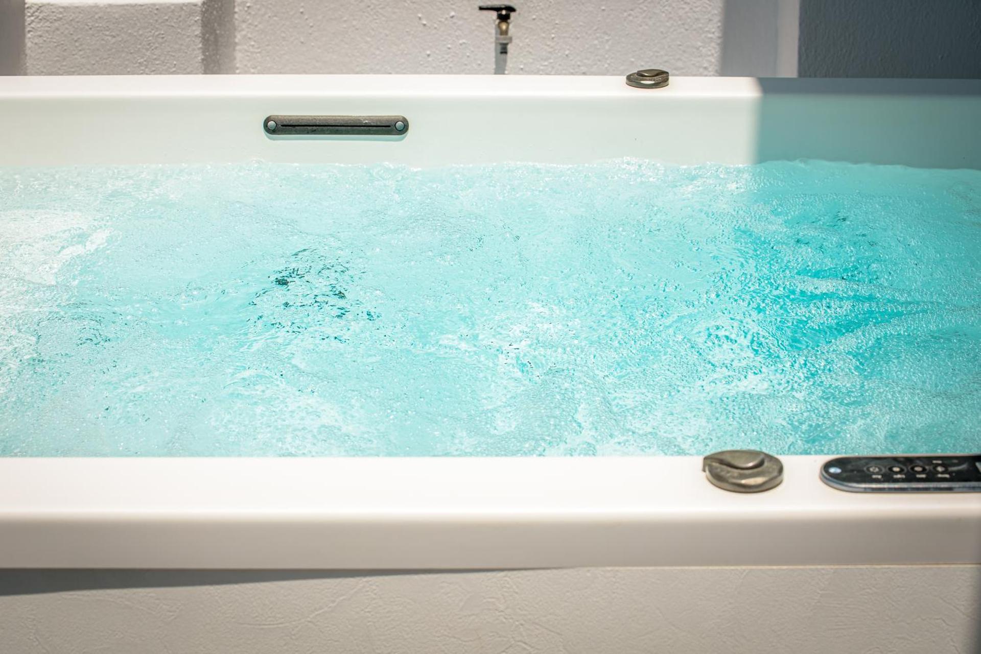 Golden Grey Goose - Photo 63