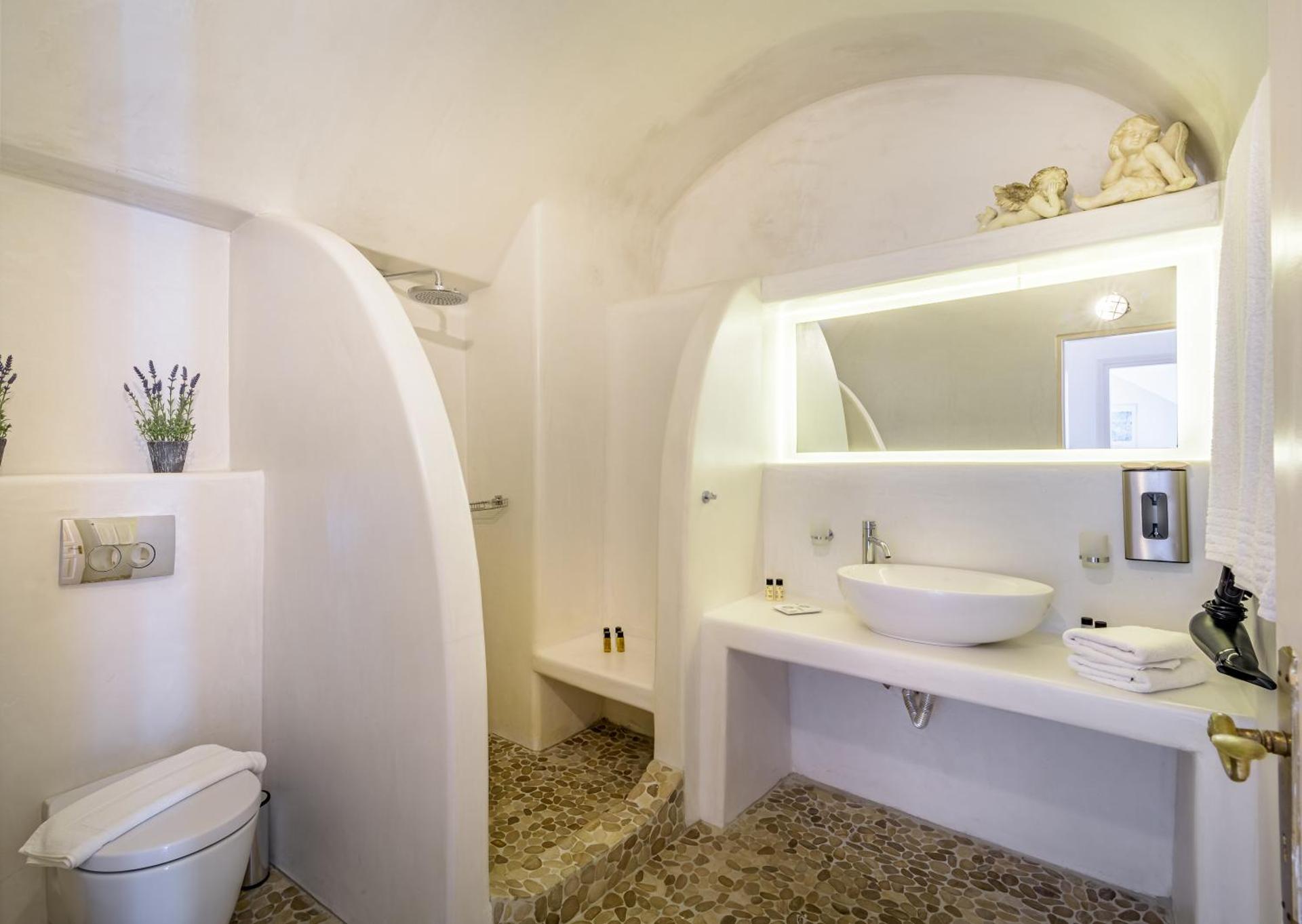 Golden Grey Goose - Photo 73