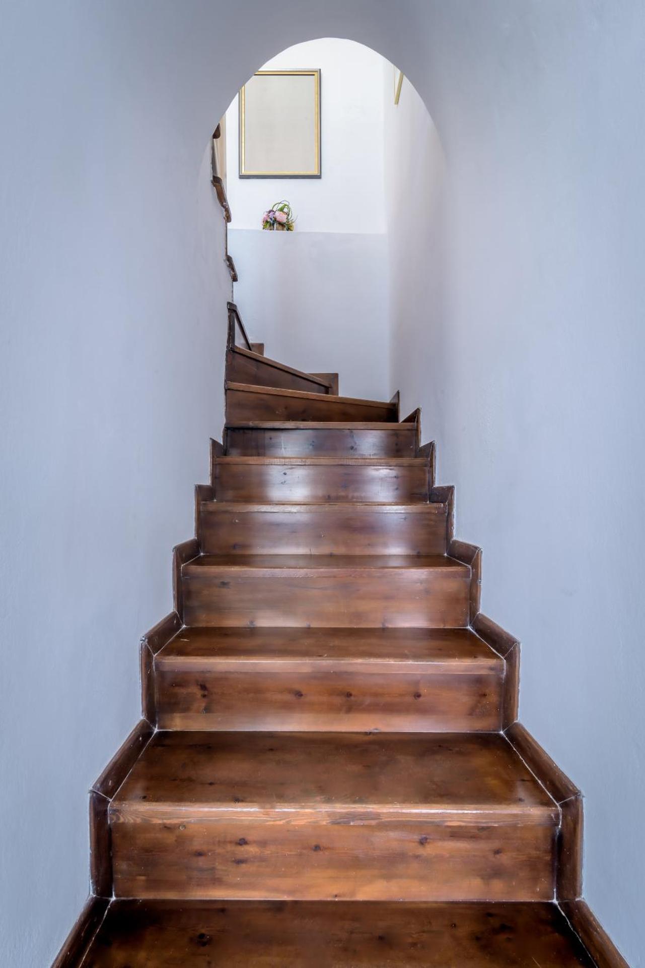 Golden Grey Goose - Photo 71