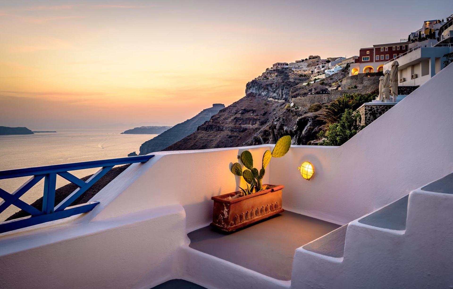 Golden Grey Goose - Photo 83