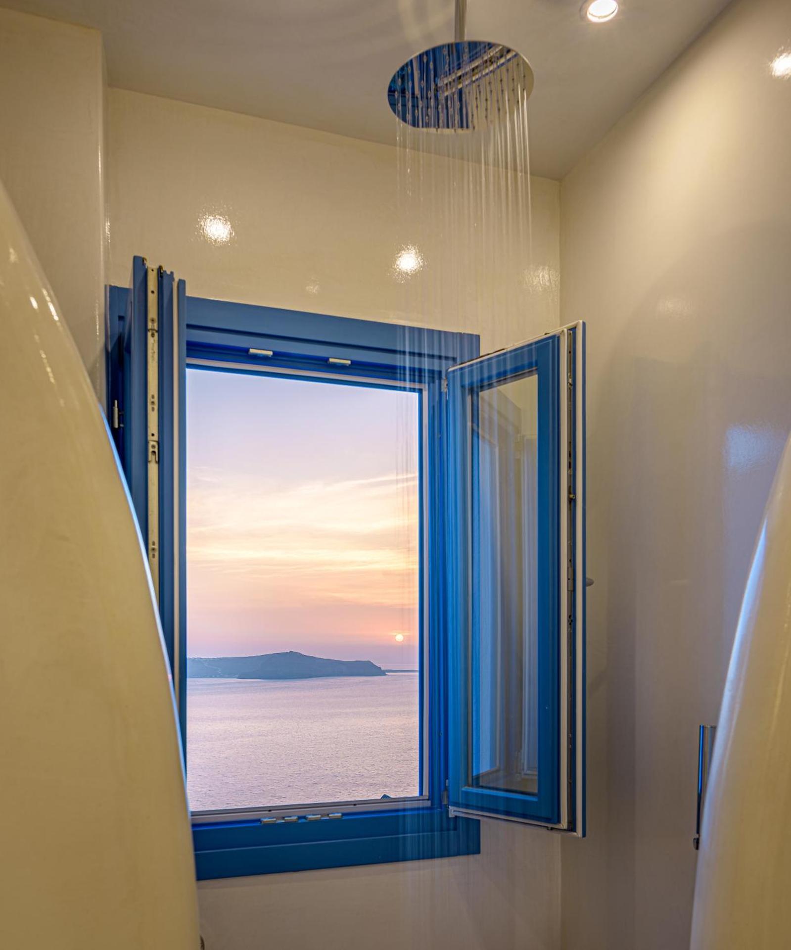 Golden Grey Goose - Photo 43