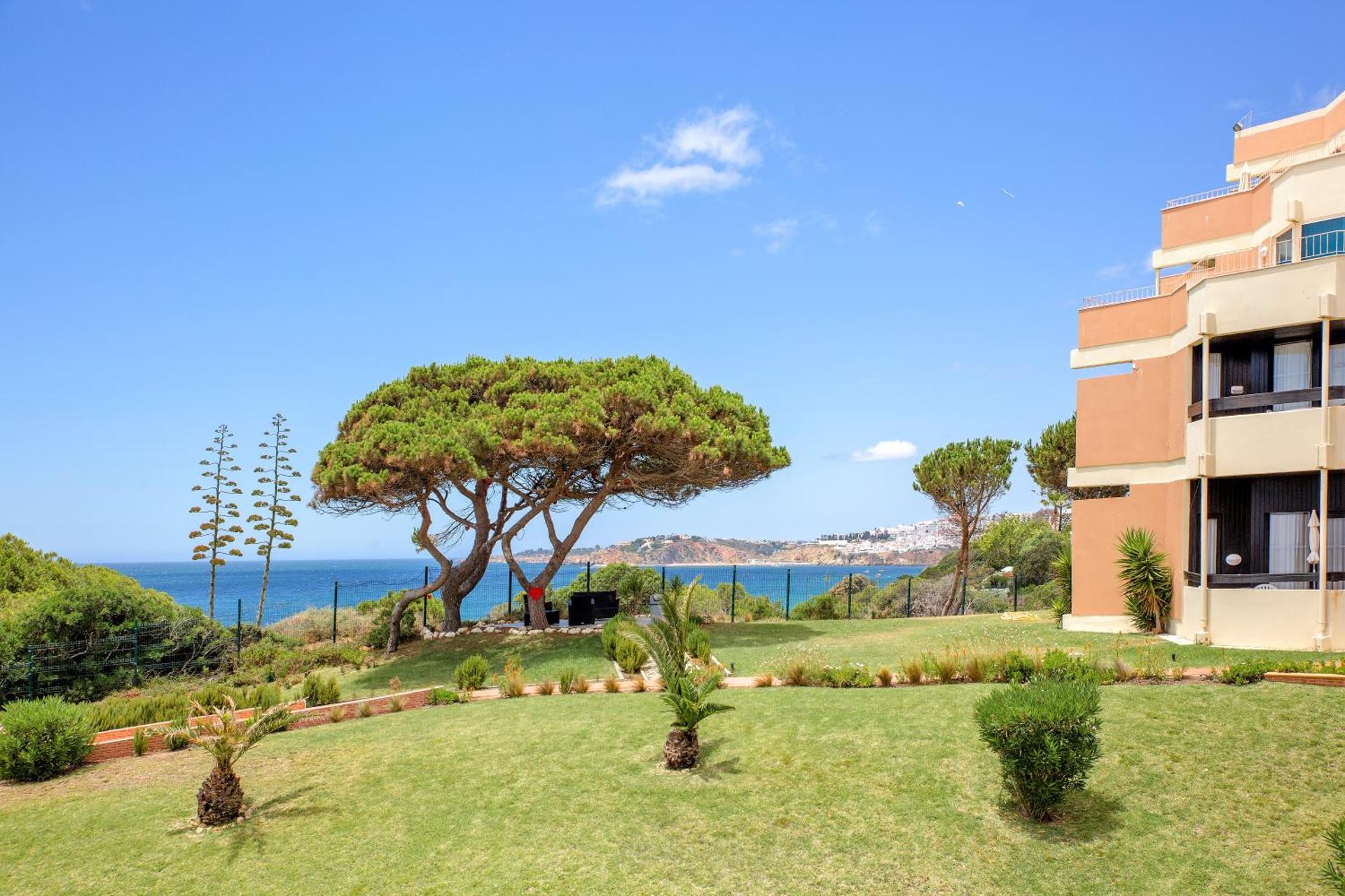 Auramar Beach Resort - Photo 42