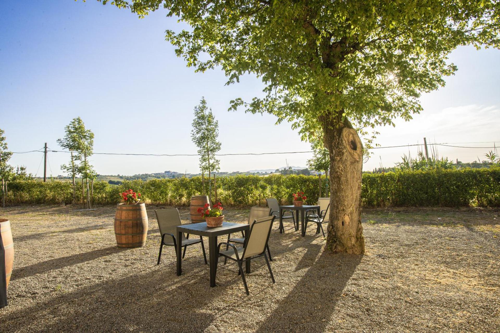 Agriturismo Streda Wine & Country Holiday - Photo 163