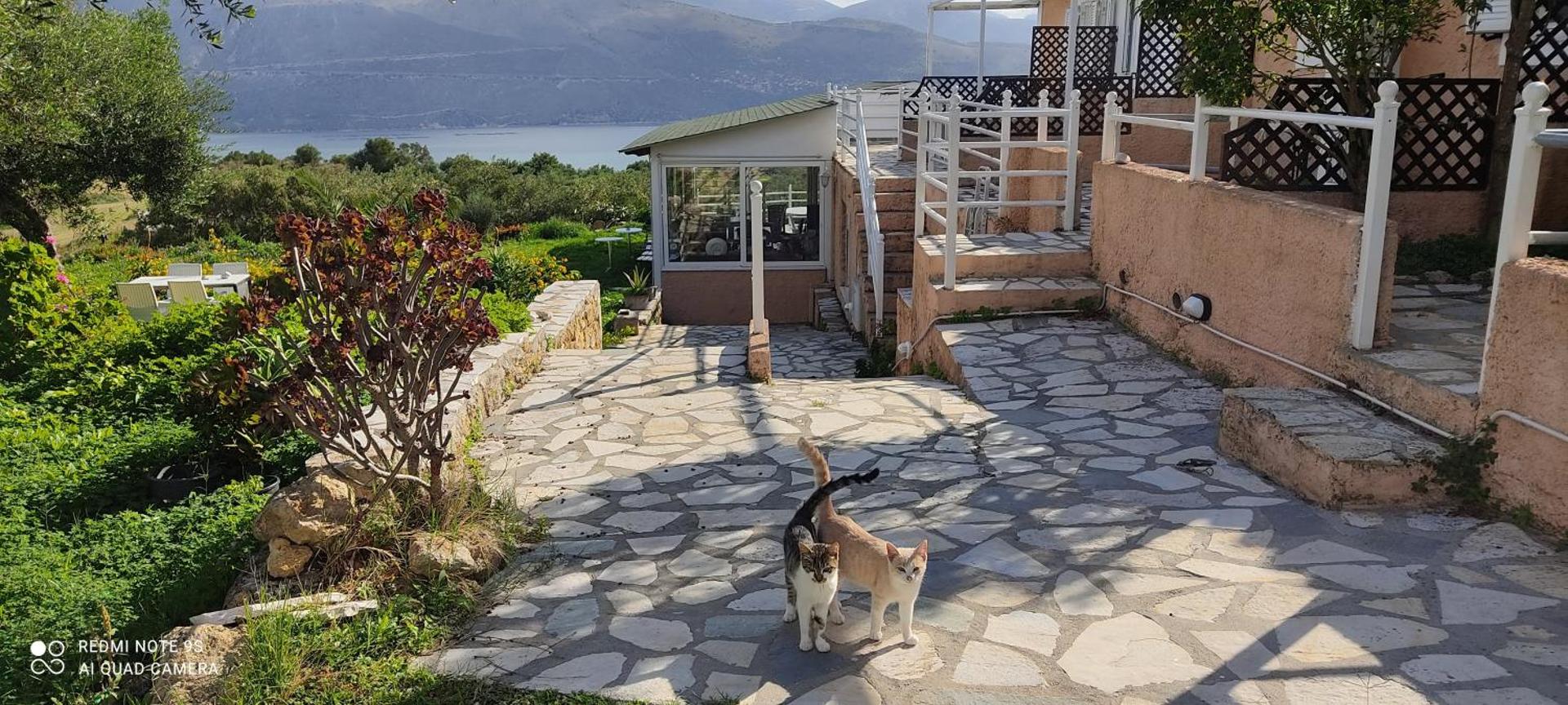 Forestata Village - Photo 88