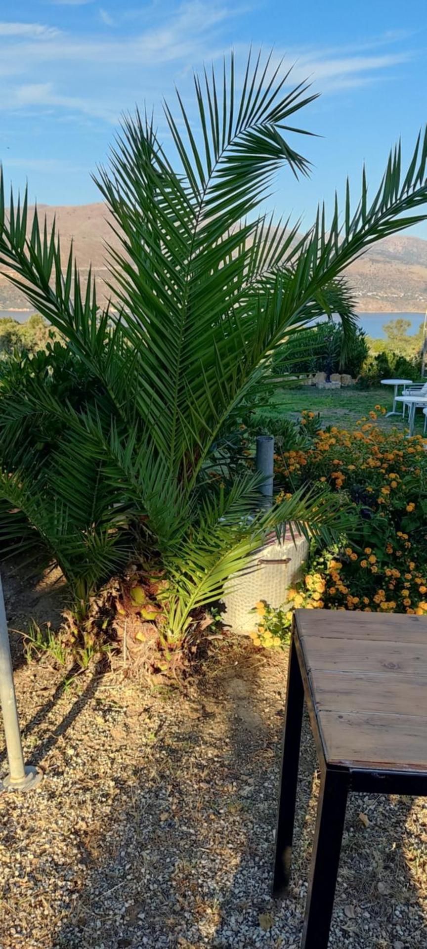 Forestata Village - Photo 89