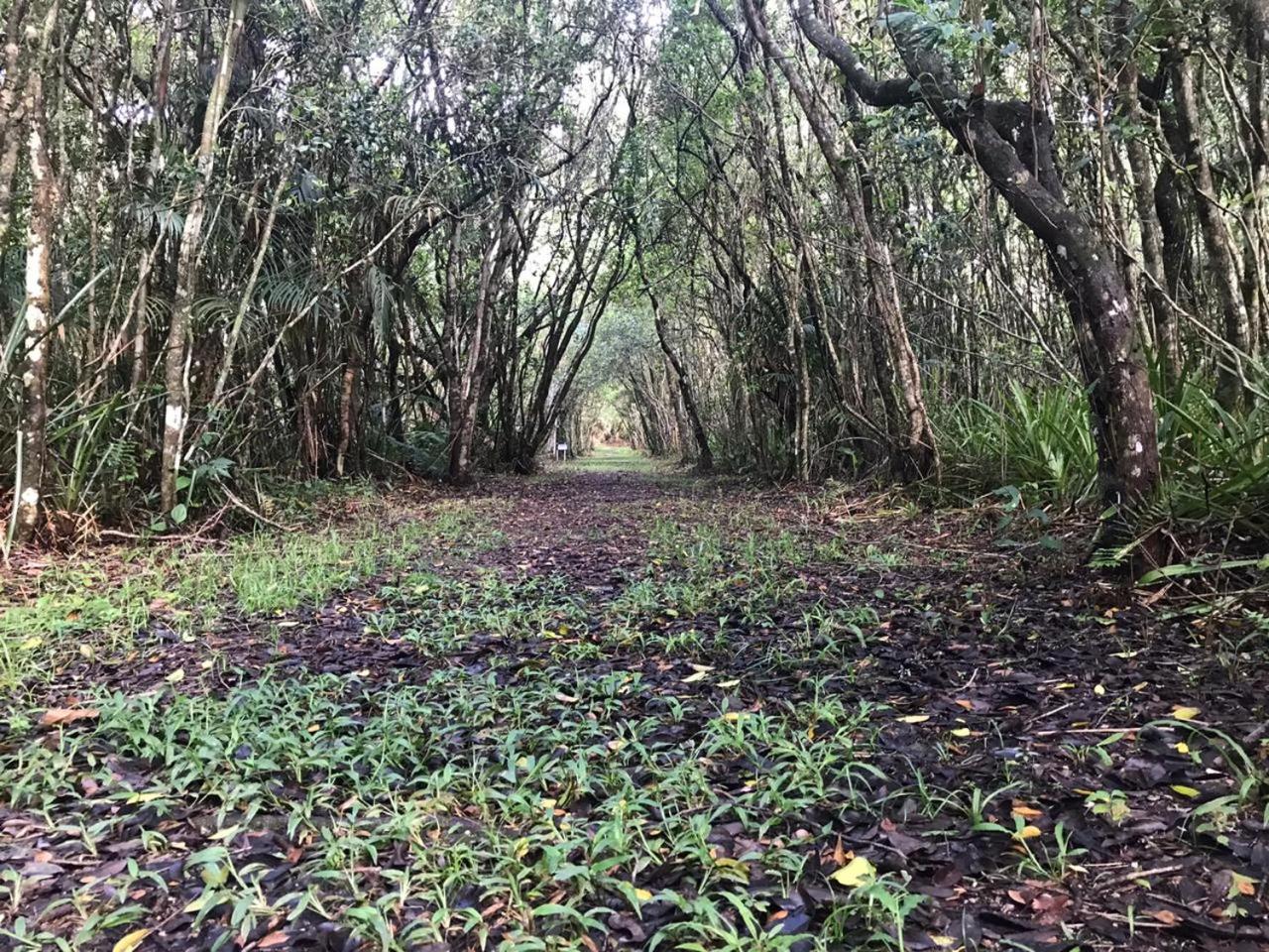 Pousada Dunasol Floripa - Photo 126