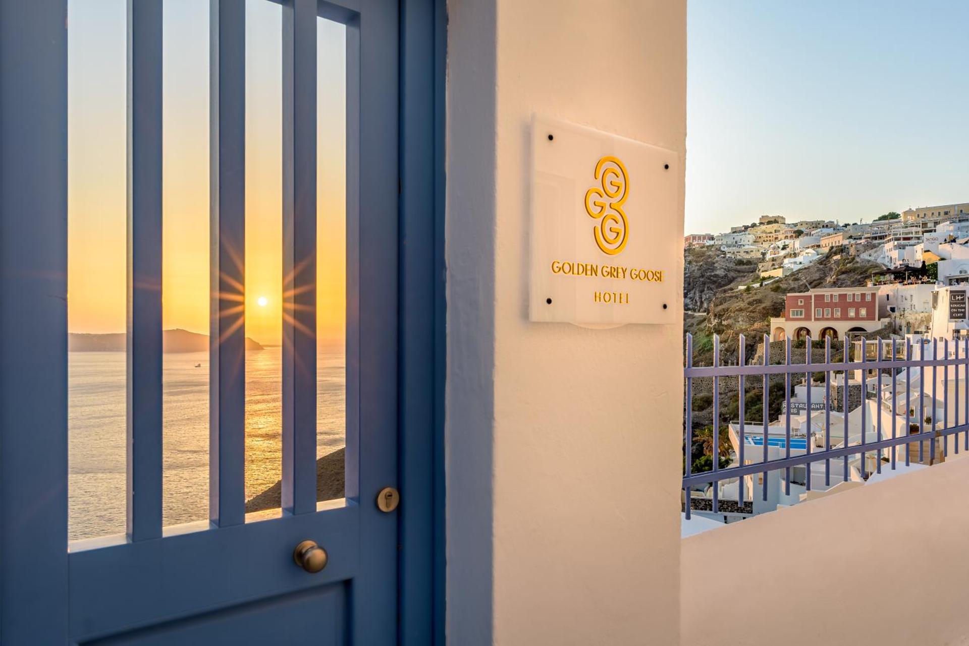 Golden Grey Goose - Photo 94