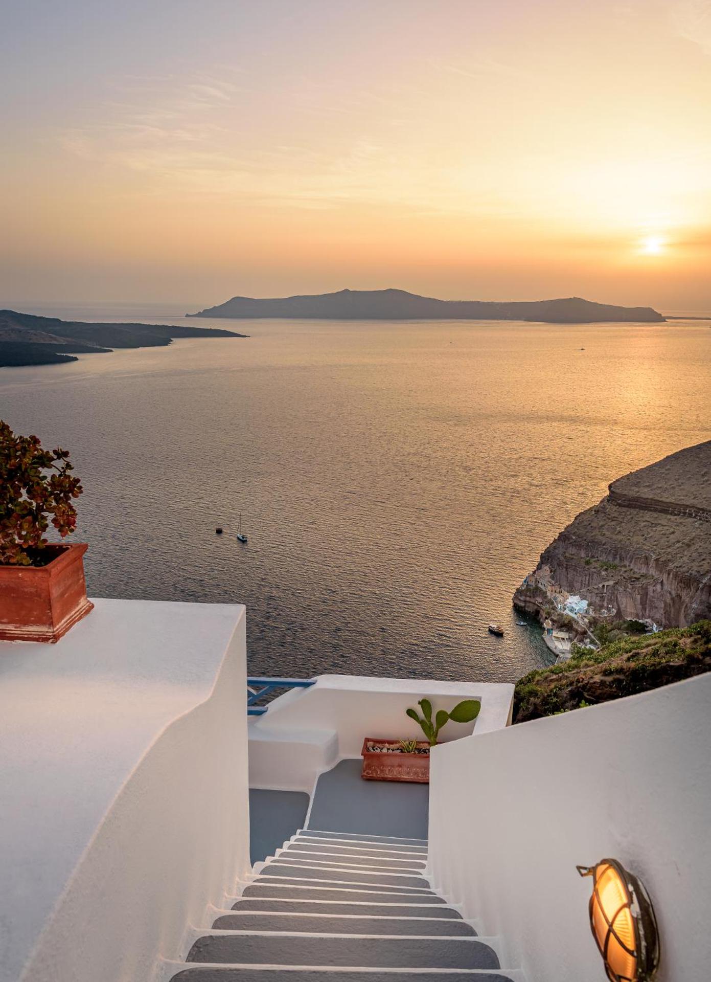 Golden Grey Goose - Photo 67