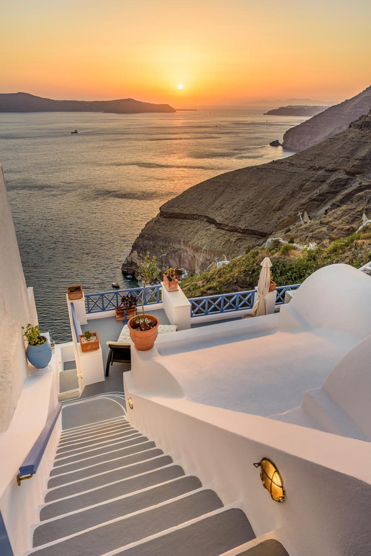 Golden Grey Goose - Photo 101