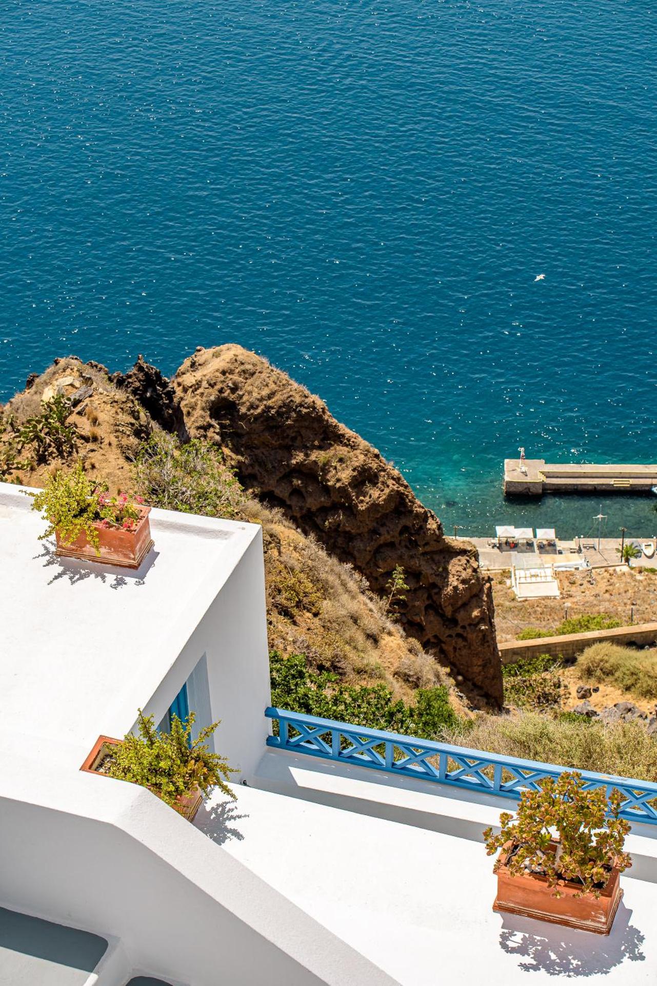 Golden Grey Goose - Photo 105