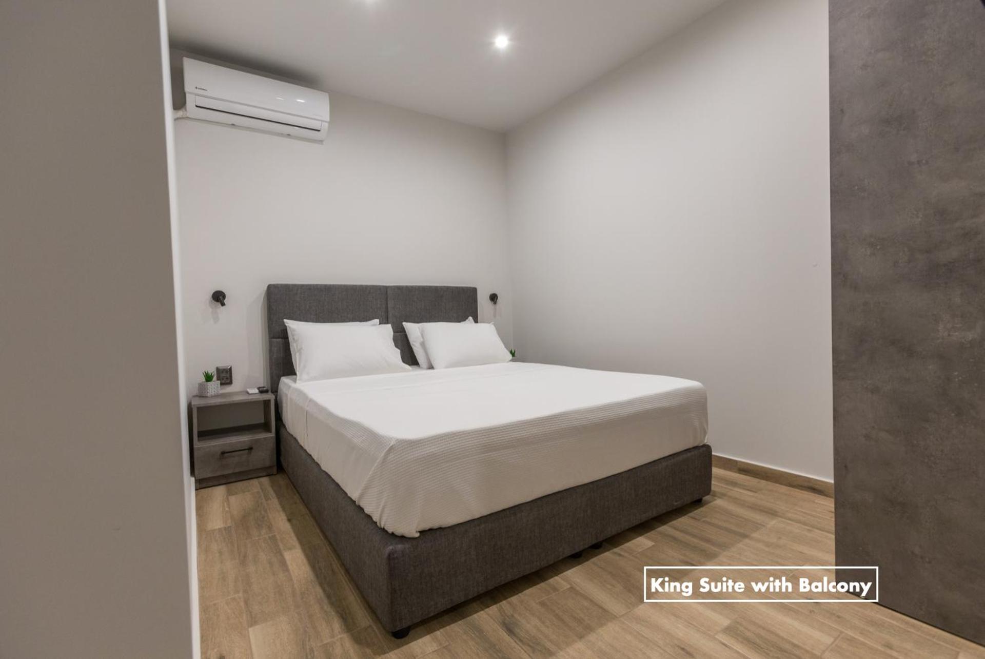 Athens Raise Acropolis Project - Photo 16