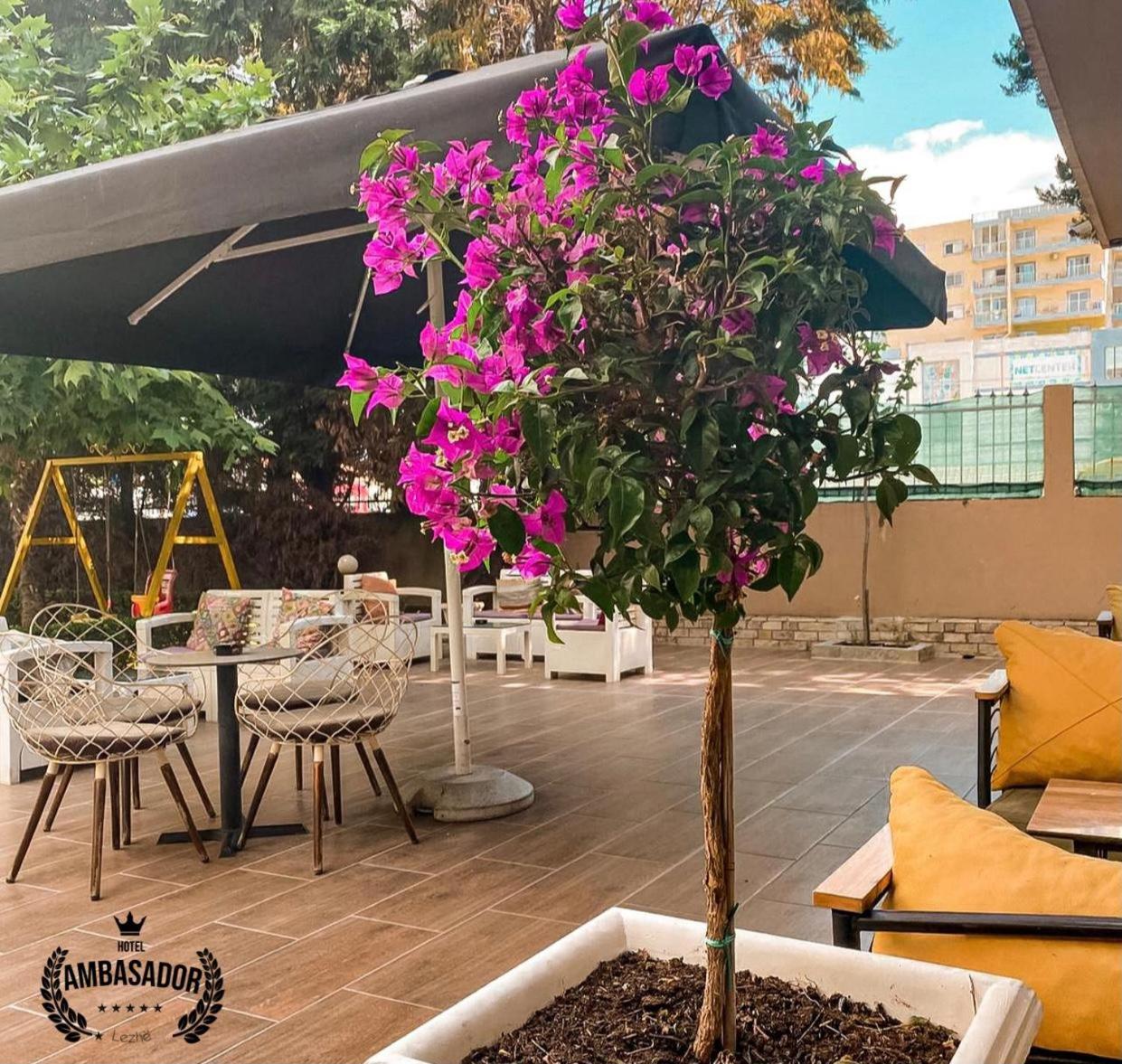 Hotel Ambasador Garden - Photo 105