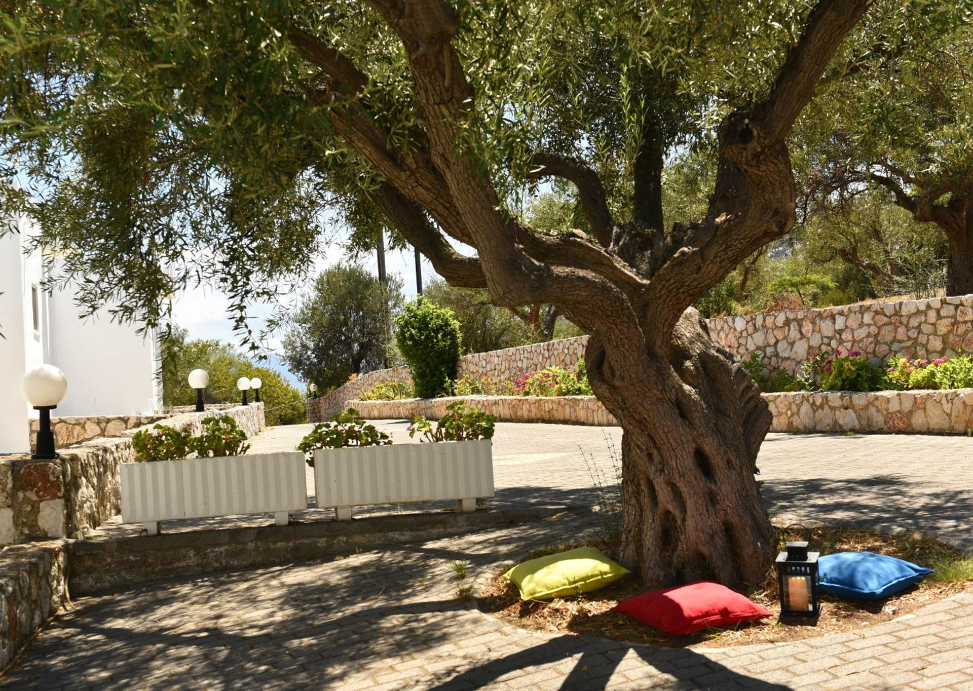 Phaistos Hotel - Photo 16