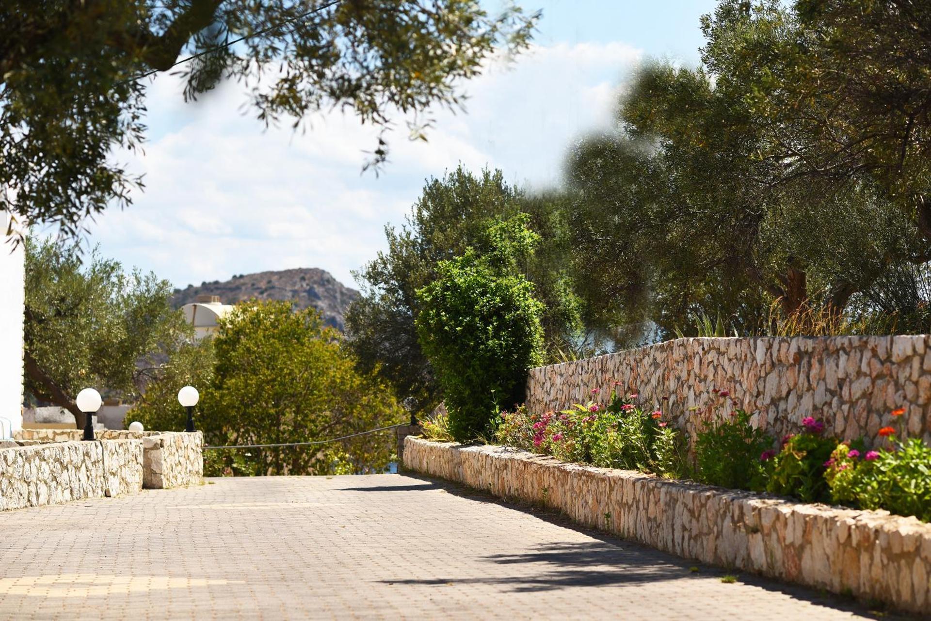 Phaistos Hotel - Photo 29