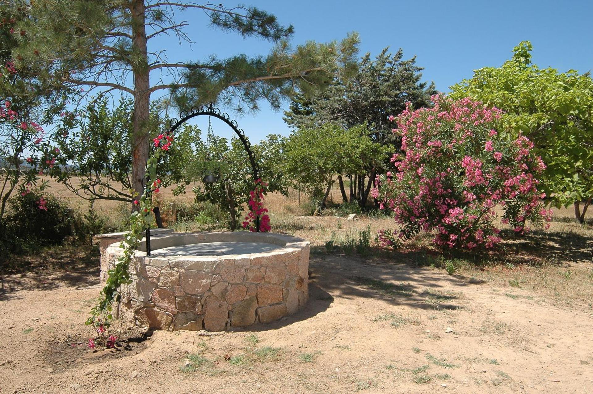 Hotel Mediterraneo - Photo 15