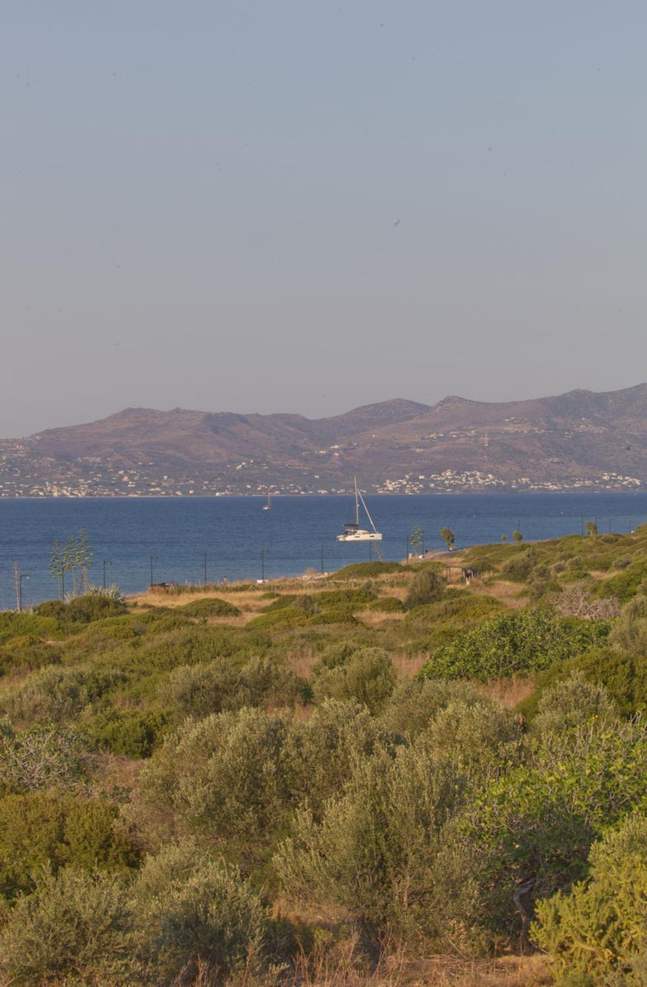 Summer View - Photo 15