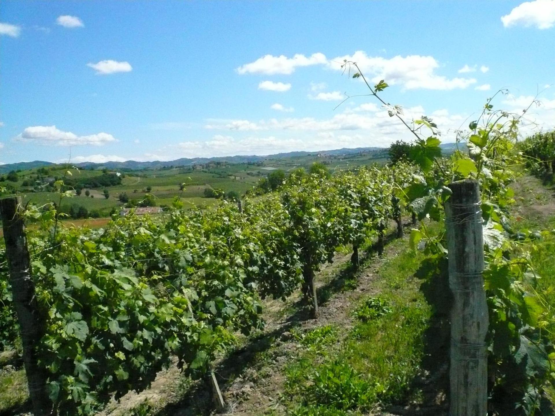 Agriturismo Relais "il Bricco" - Photo 23