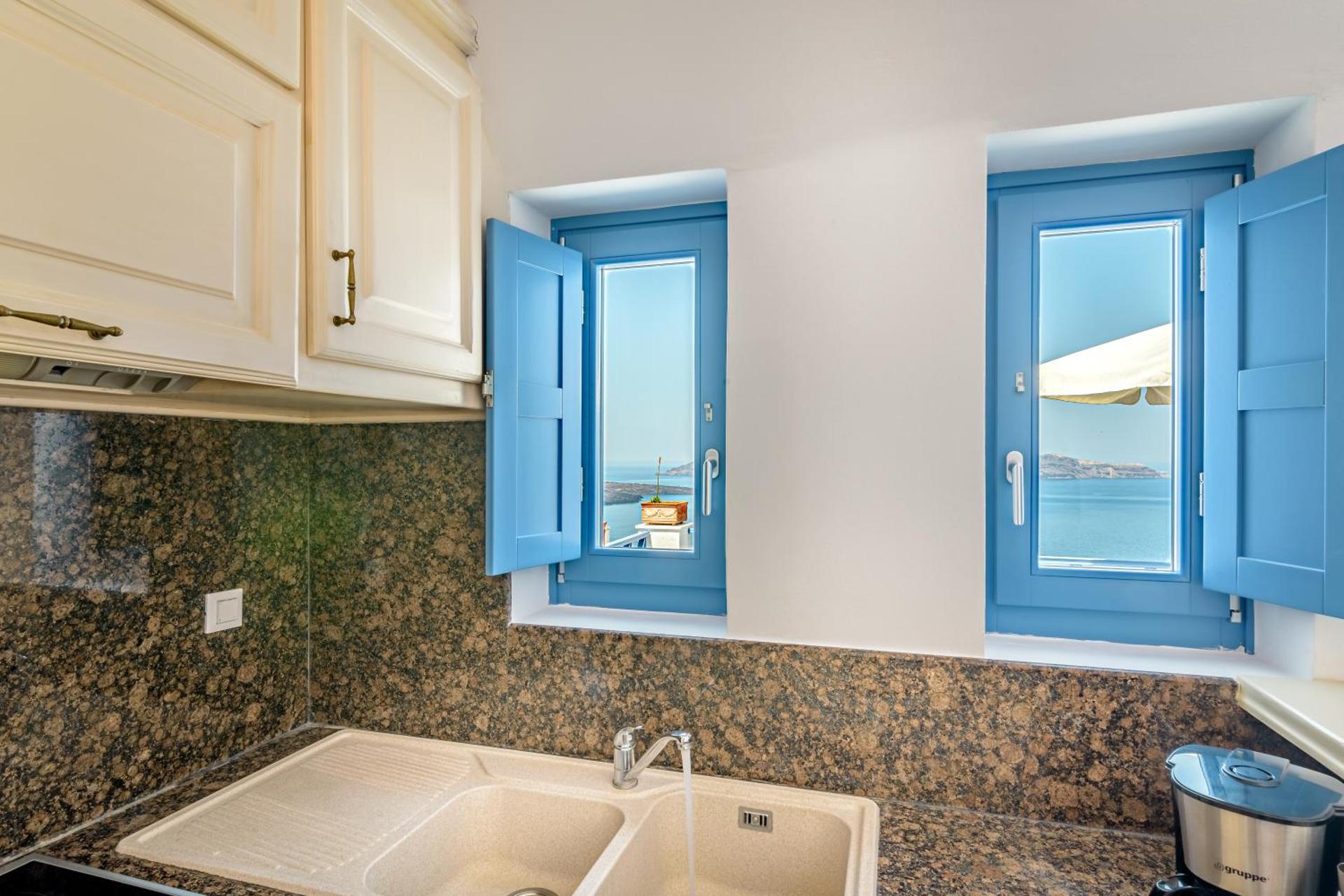 Golden Grey Goose - Photo 21