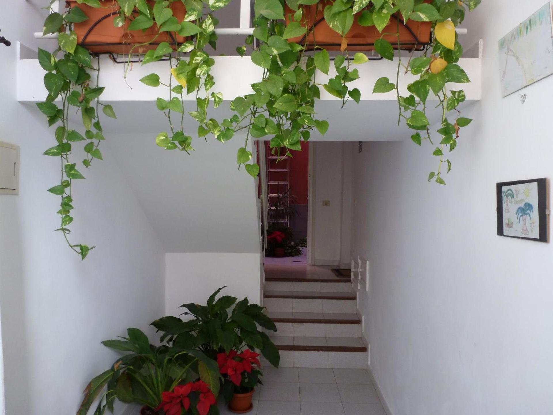 Apartamentos Bellavista Gomera - Photo 100