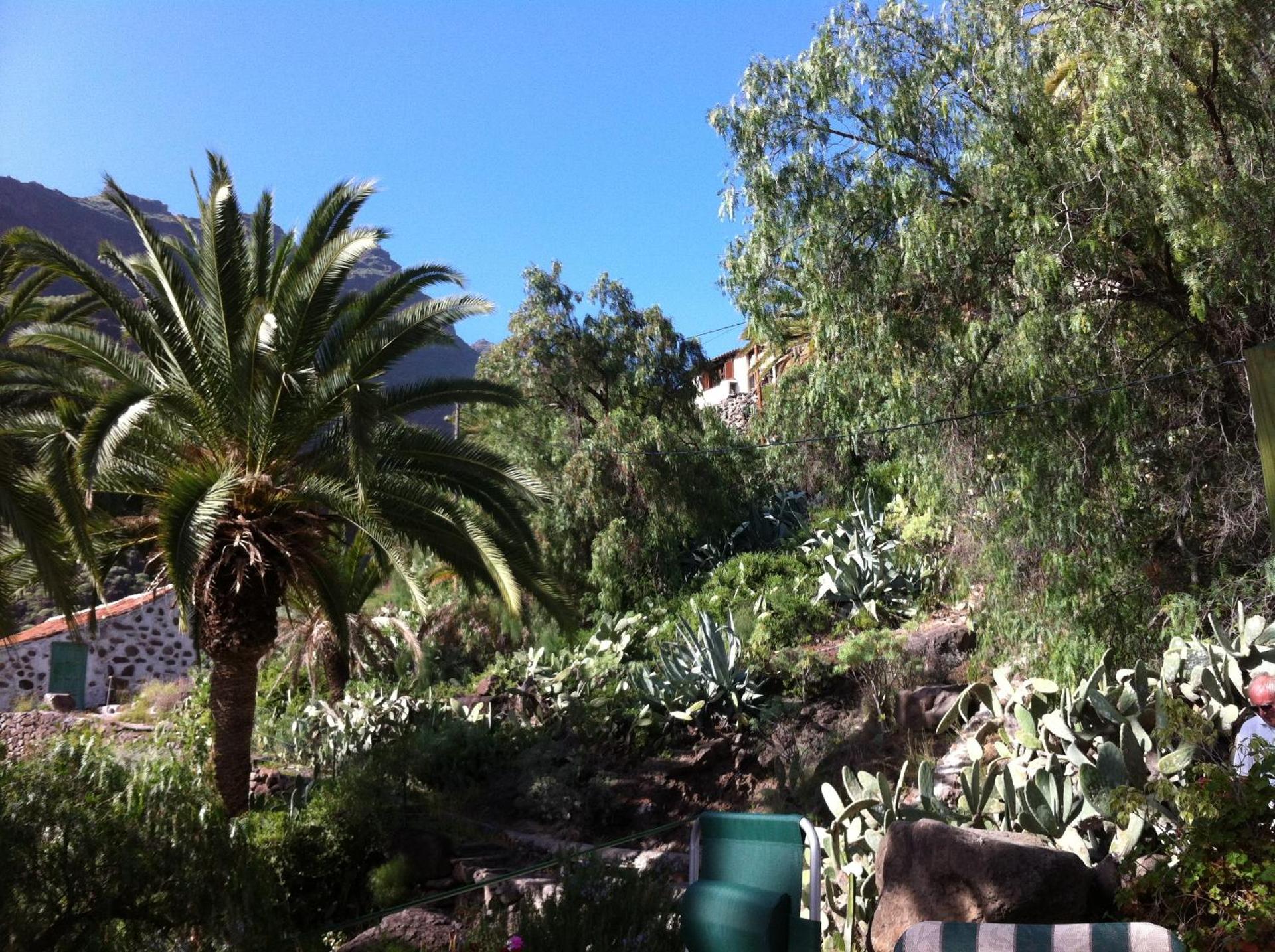 Apartamentos Bellavista Gomera - Photo 102