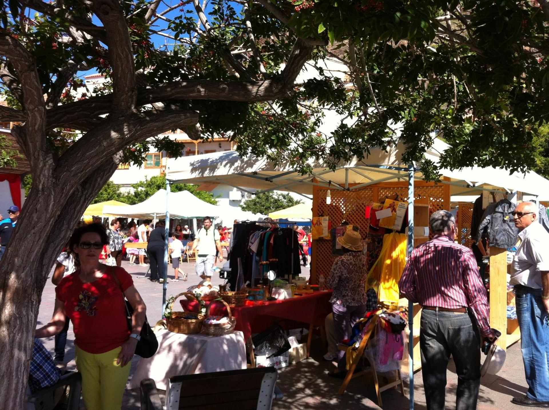 Apartamentos Bellavista Gomera - Photo 103