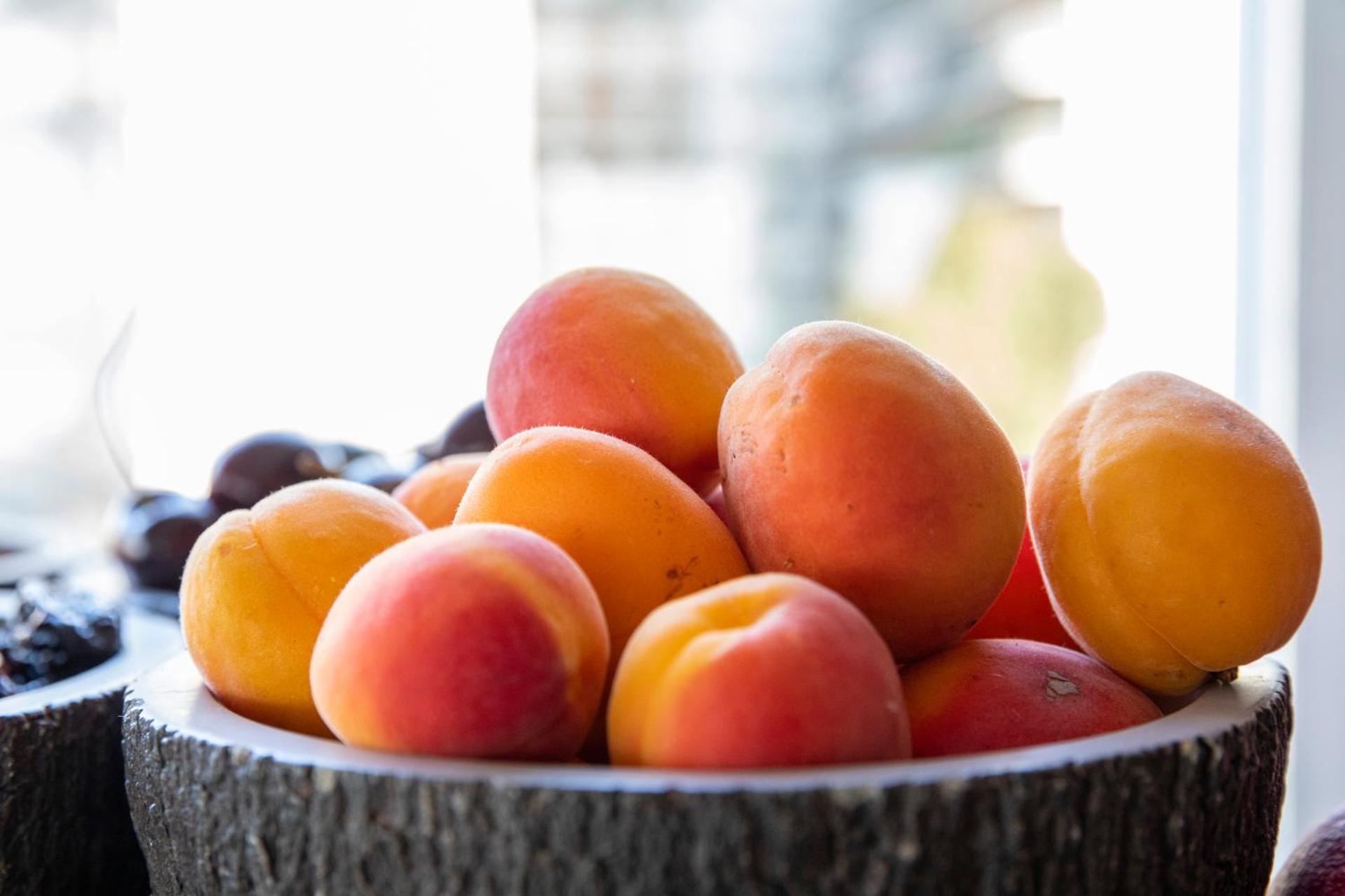 Plaza Hotel Catania - Photo 49