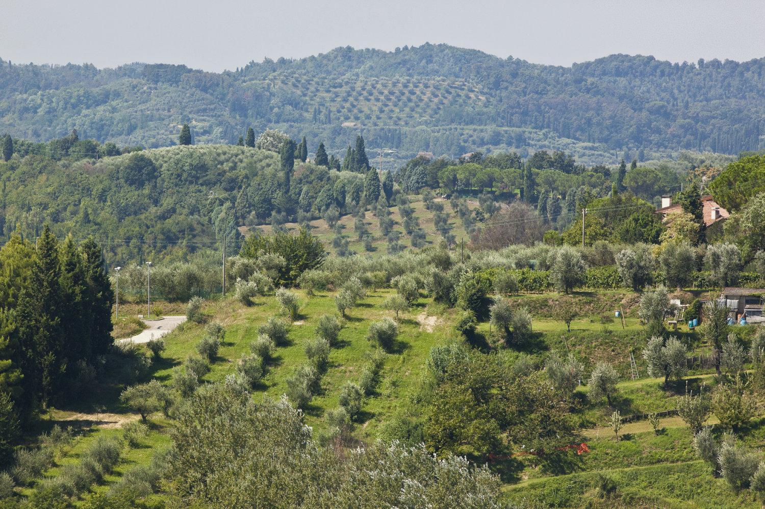 Hotel San Miniato - Photo 39