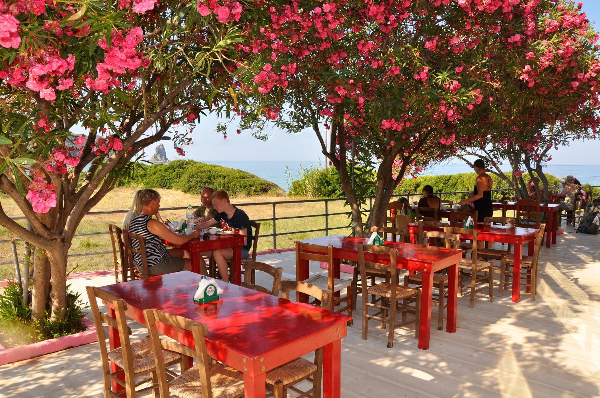 Pink Palace Beach Resort - Photo 23