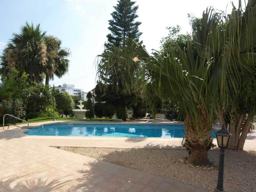 Patatas Villa - Photo 9