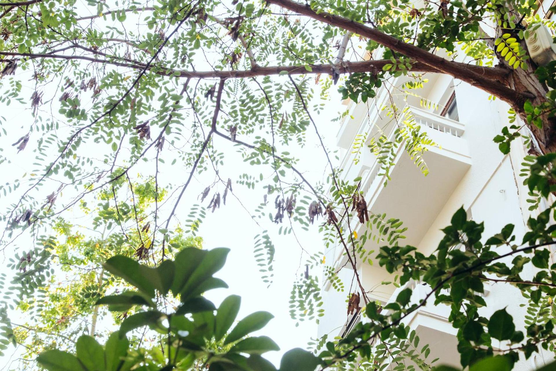 we saw athens - Photo 2